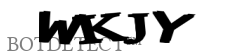 SSL2 CAPTCHA